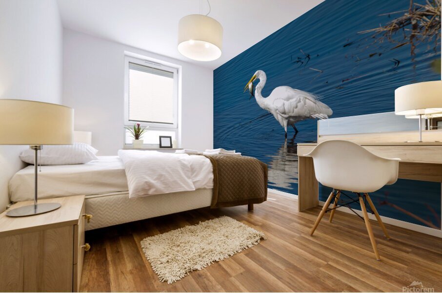 Great Egret 3460 Mural print