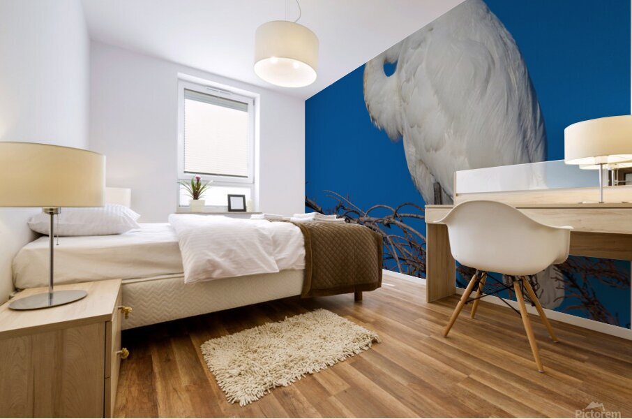 Great Egret 1067 Mural print