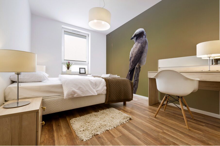 White rumped Shrike 0321 Mural print
