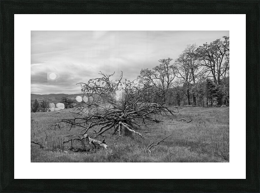 Columbia Gorge 0664 2 Picture Frame print
