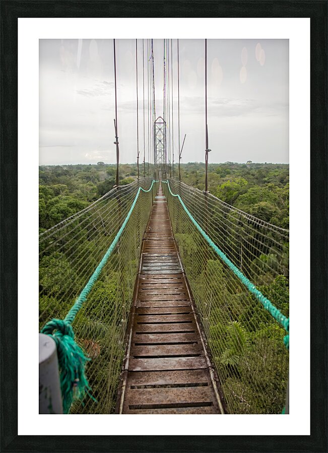 Ecuador 9 0813 Picture Frame print