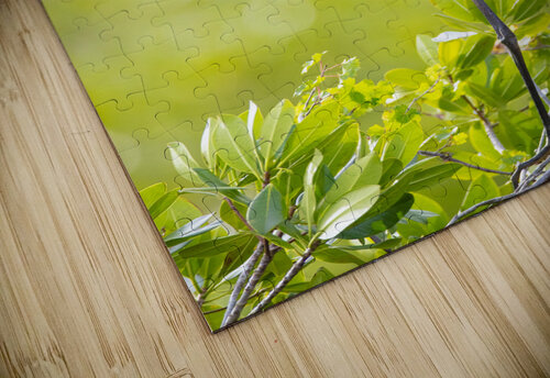 Great Blue Heron 2670 Robert Burnett puzzle