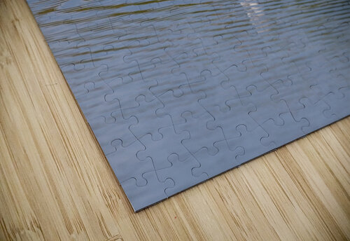 American Avocet 1828 Robert Burnett puzzle