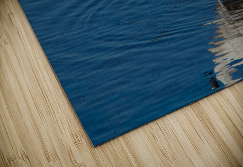 Great Egret 3460 Robert Burnett puzzle