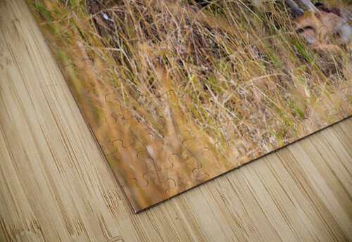 Marshall Eagle 0485 Robert Burnett puzzle