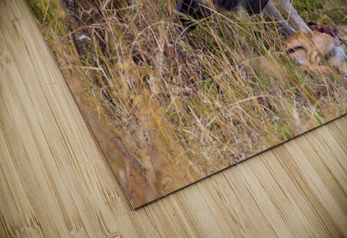 Marshall Eagle 0491 Robert Burnett puzzle