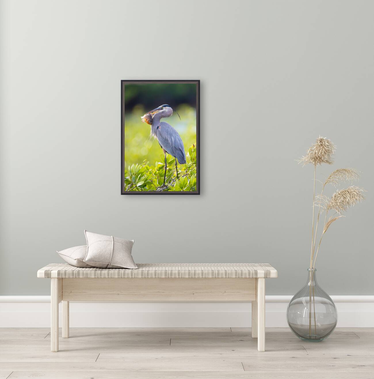 Great Blue Heron 2670 Reproduction