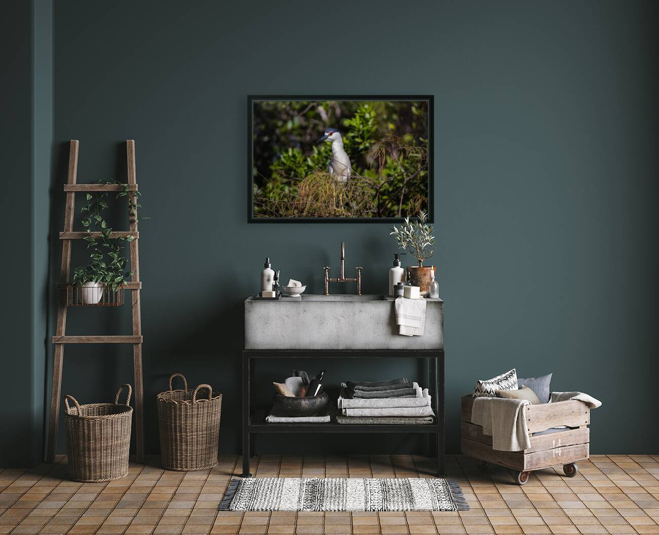 Black crowned Night Heron 9350 Reproduction