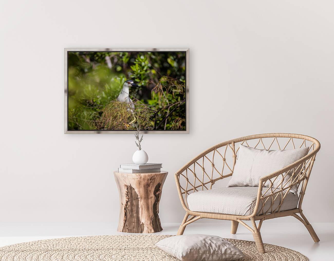 Black crowned Night Heron 9328 Reproduction