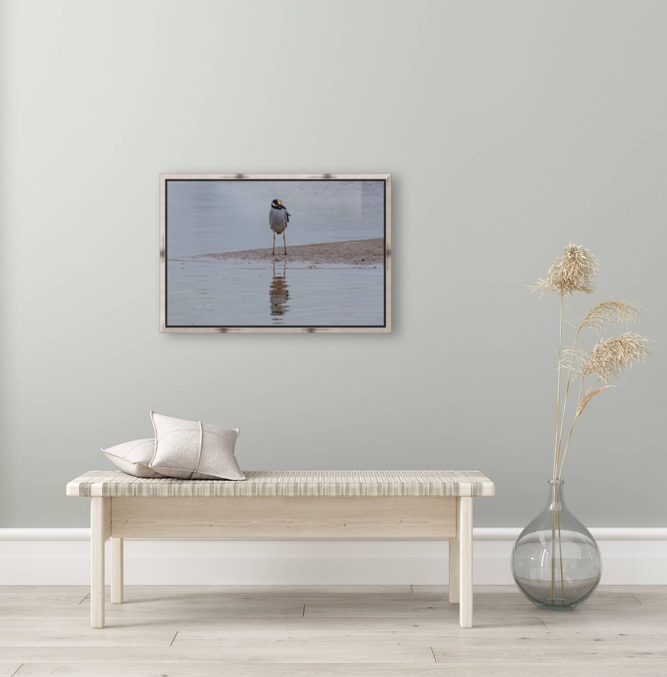 Yellow crowned Night Heron 4831 Reproduction