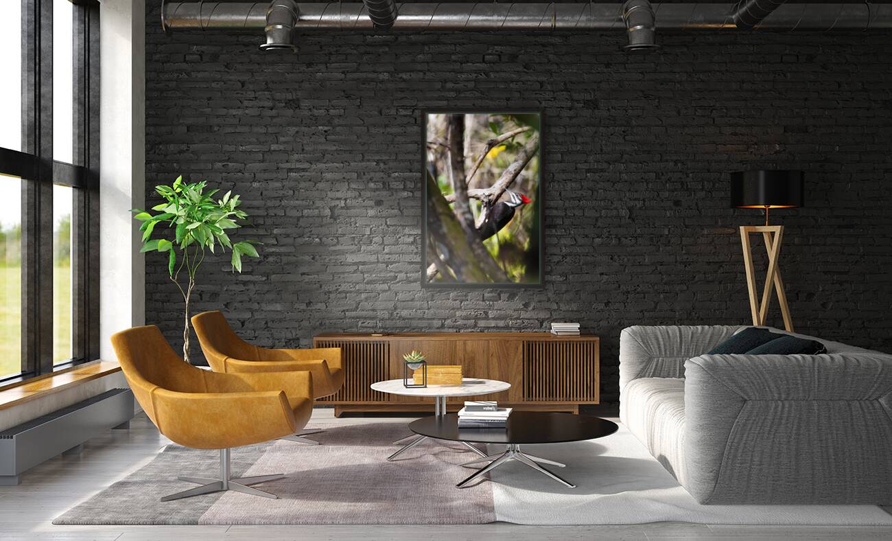 Pileated Woodpecker 7819 Reproduction