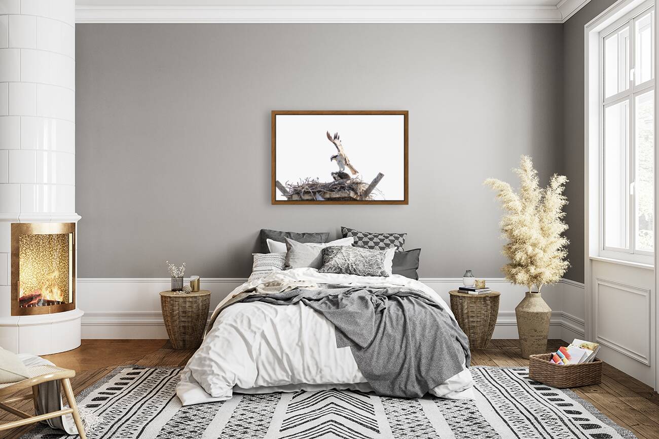 Osprey 1146 Reproduction