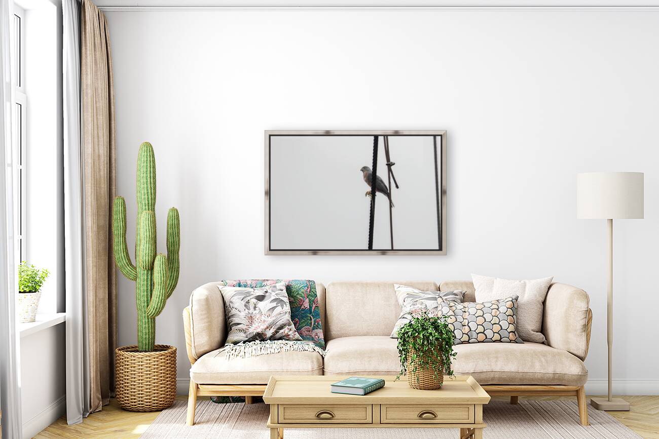 Ecuador 9 0830 Reproduction