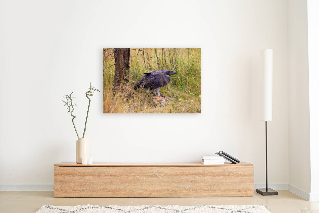 Marshall Eagle 0485 Reproduction