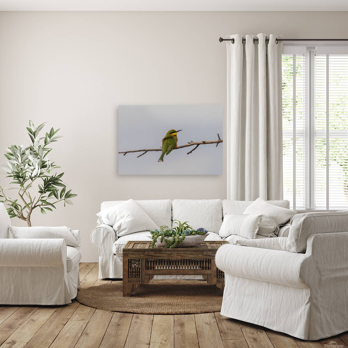 Cinnamon Chested Bee eater 0574 Reproduction