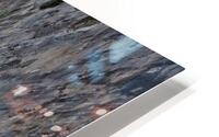 Puerto Rico 1999 HD Metal print