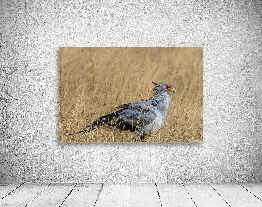Secretarybird 0289 Wall Preview