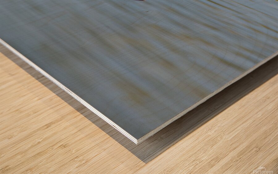 Reddish Egret 3351 Wood print