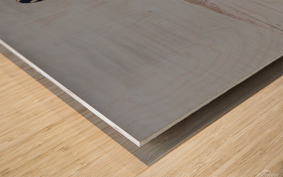 Yellow crowned Night Heron 4831 Wood print