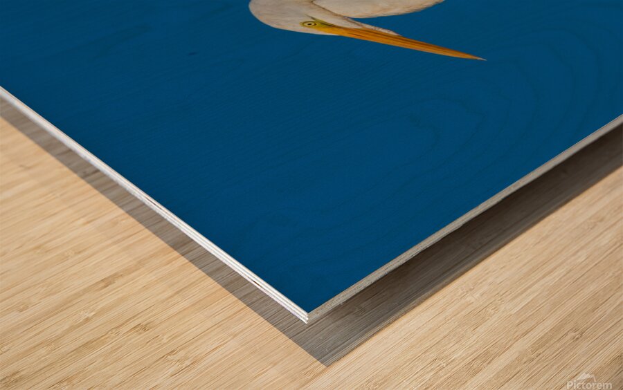 Great Egret 1067 Wood print