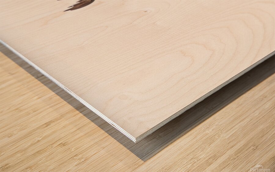 Osprey 1146 Wood print