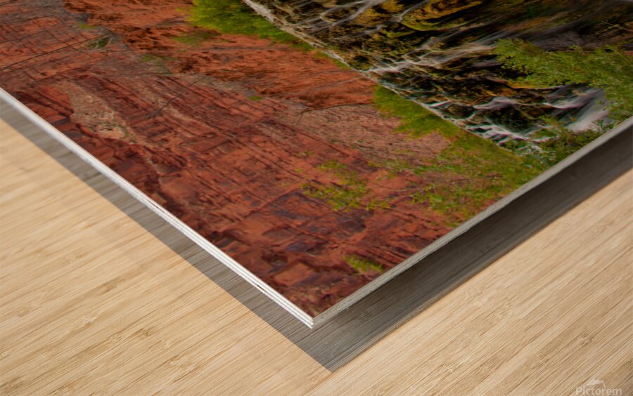  havasu falls 9877 Wood print