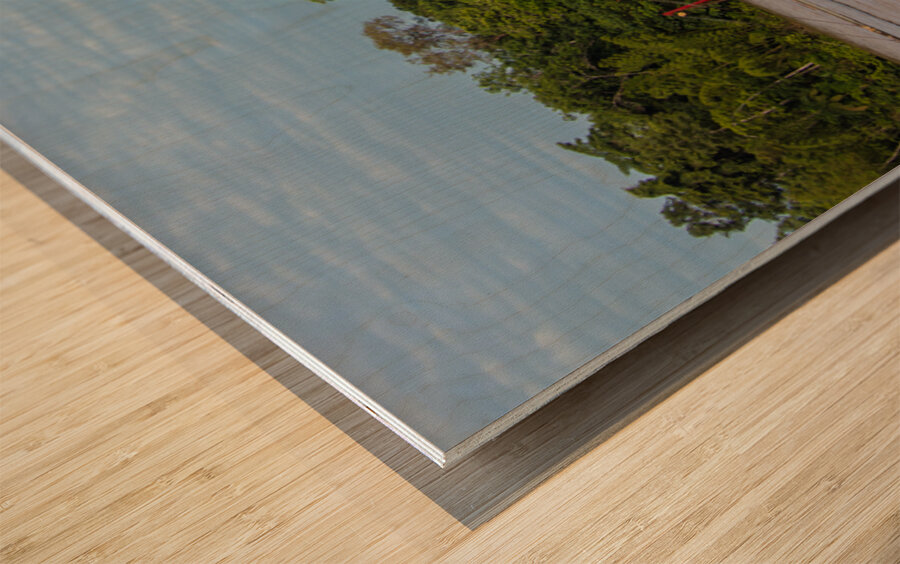 Ecuador 9 0611 Wood print