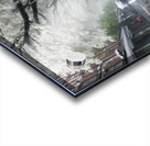 Flowering street trees-Acrylic Prints Acrylic print