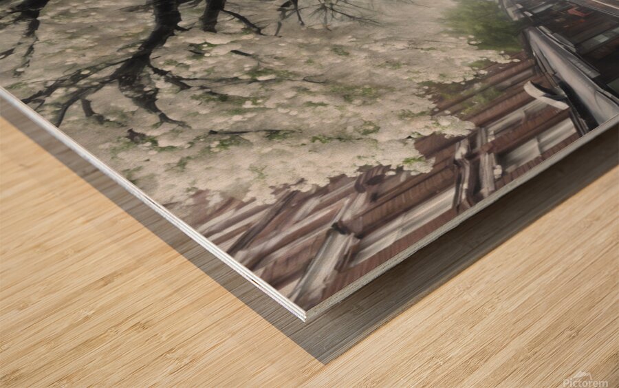 Flowering street trees-Acrylic Prints Wood print