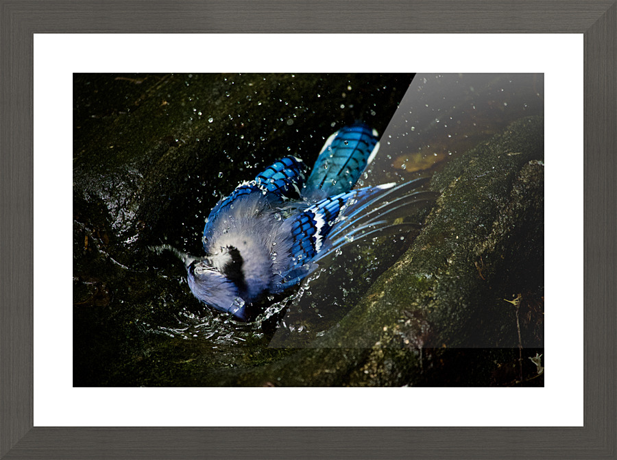 Hidden I Picture Frame print