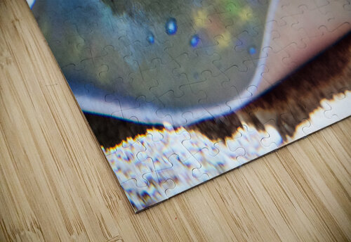 Untitled  Alice Veronique puzzle