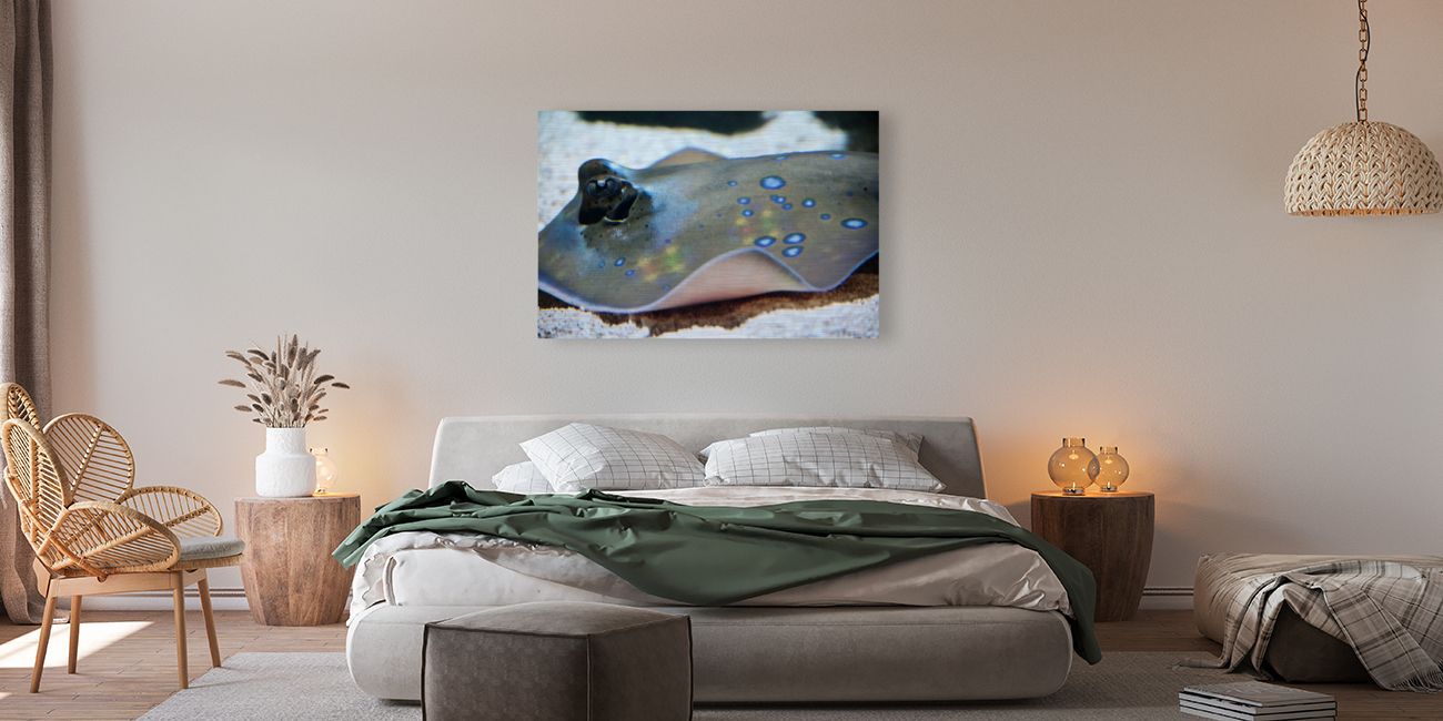 Untitled  Reproduction