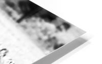 Doppler HD Metal print
