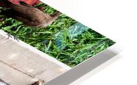 Lakeside Stretch HD Metal print