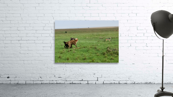 Infighting Wall Preview