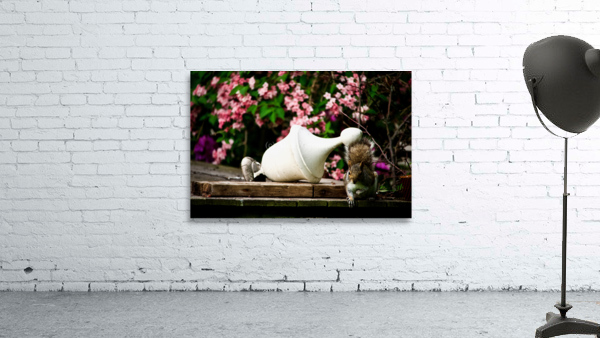 Untitled Wall Preview