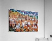 Bryce Canyon Hoodoos Acrylic Print