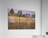 Rural Evening Acrylic Print