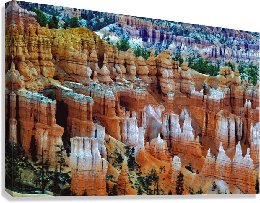 Bryce Canyon Hoodoos Canvas Print