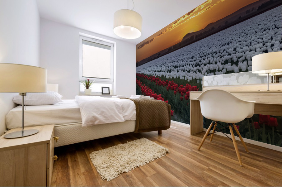 Sunset on Earth Day  Mural print