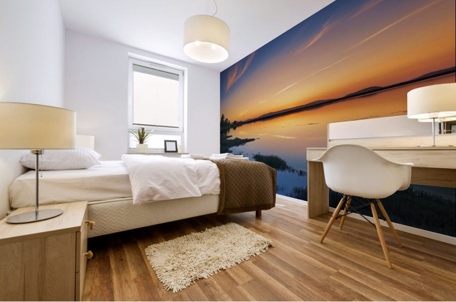 Lopez Sunset Mural print
