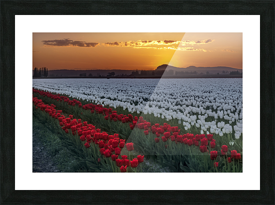 Sunset on Earth Day  Picture Frame print