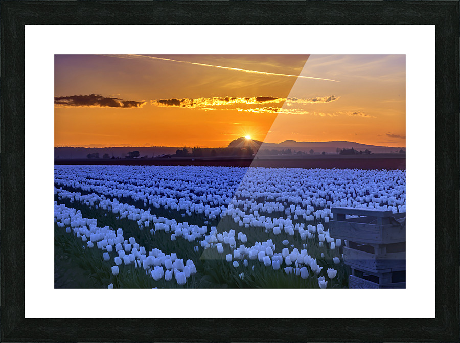 Earth Day Sunset Picture Frame print