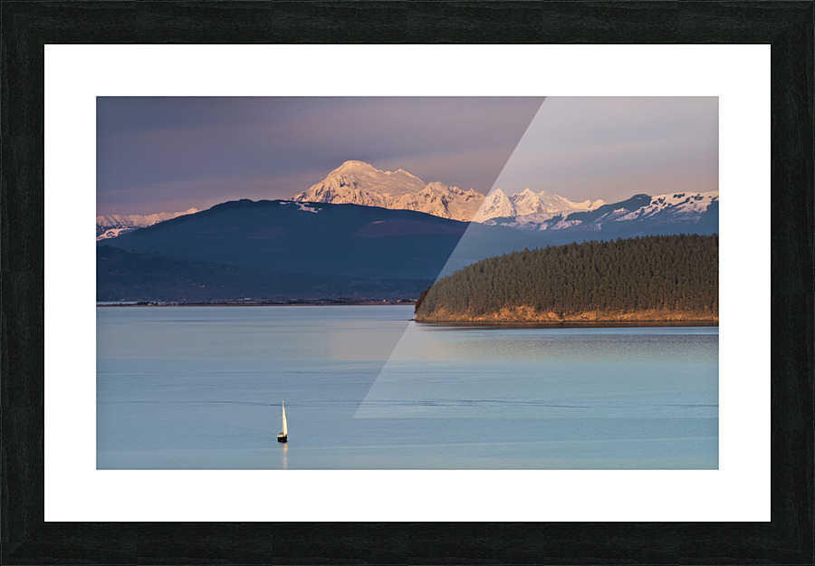 Evening Sail  Picture Frame print