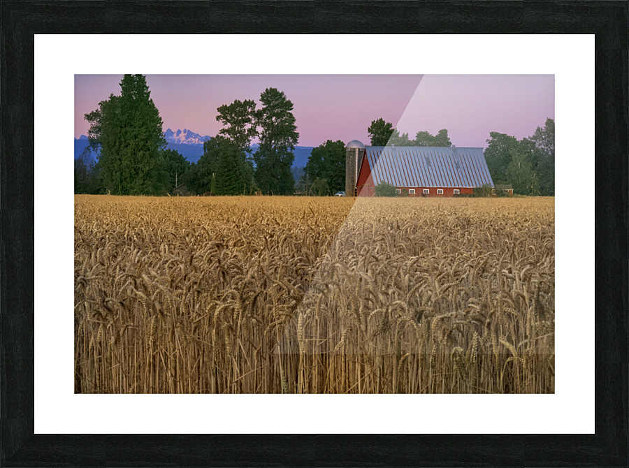 Rural Evening Picture Frame print