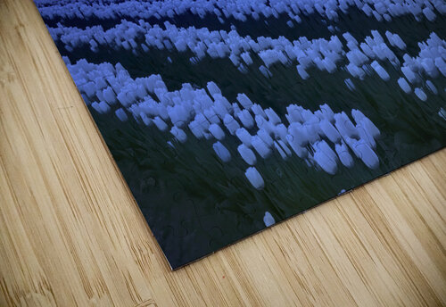 Earth Day Sunset Paul Harrett Photography puzzle
