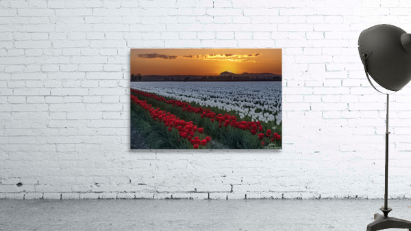 Sunset on Earth Day  Wall Preview