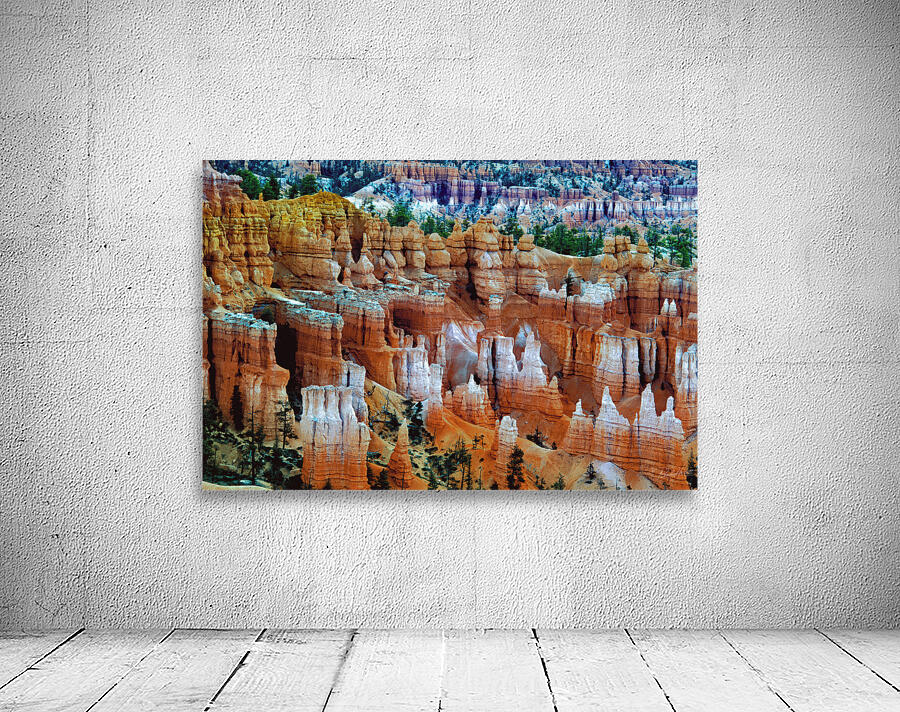 Bryce Canyon Hoodoos Wall Preview