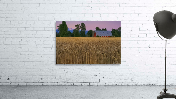 Rural Evening Wall Preview
