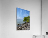 Tampa Causeway Acrylic Print